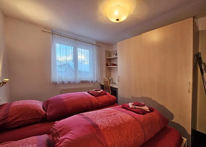 Felskinn 2. Og Saas Fee